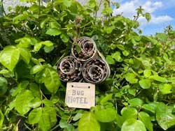 Bug hotel